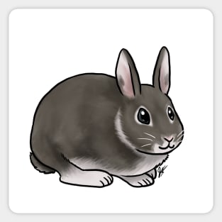 Small Mammal - Rabbit - Black and White Netherland Dwarf Sticker